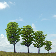 model trees